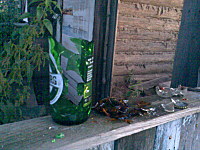click for enlarge 1600 X 1200 556,3 Kb picture