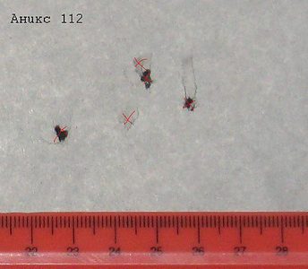click for enlarge 645 X 562 35,7 Kb picture