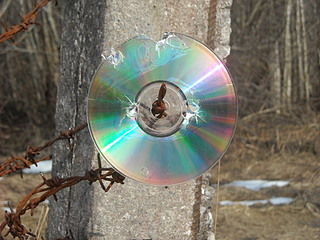 click for enlarge 1024 X 768 232,1 Kb picture