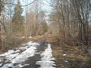 click for enlarge 1024 X 768 438,3 Kb picture