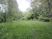 click for enlarge 1920 X 1440 701,5 Kb picture