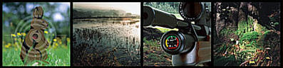 click for enlarge 500 X 121  17,5 Kb picture