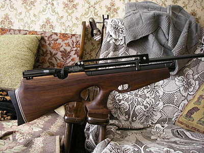 400 x 300
