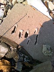 click for enlarge 1200 X 1600 361,7 Kb picture