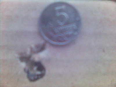 click for enlarge 640 X 480  41.2 Kb picture