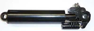 click for enlarge 448 X 151 18.9 Kb picture