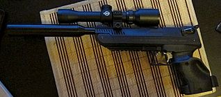 click for enlarge 800 X 351  64.5 Kb picture