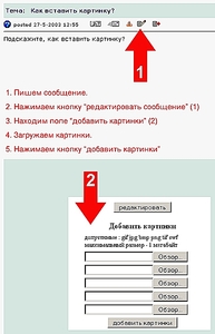 click for enlarge 386 X 599 88,9 Kb picture